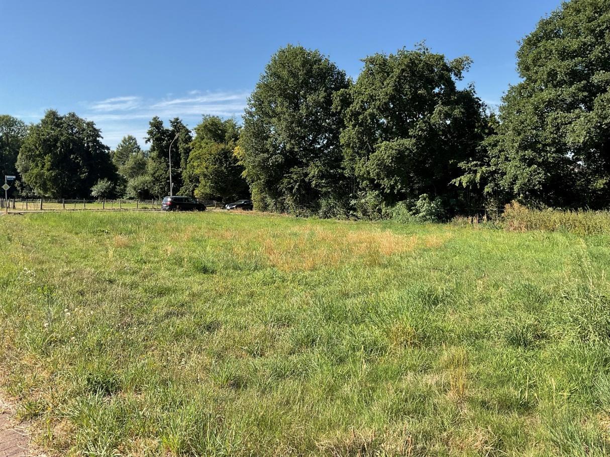 unbebautes Grundstück in Kamenz - Bild 2