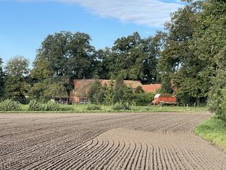 land- und forstwirtschaftlich genutztes Grundstück in Badbergen - Bild 1