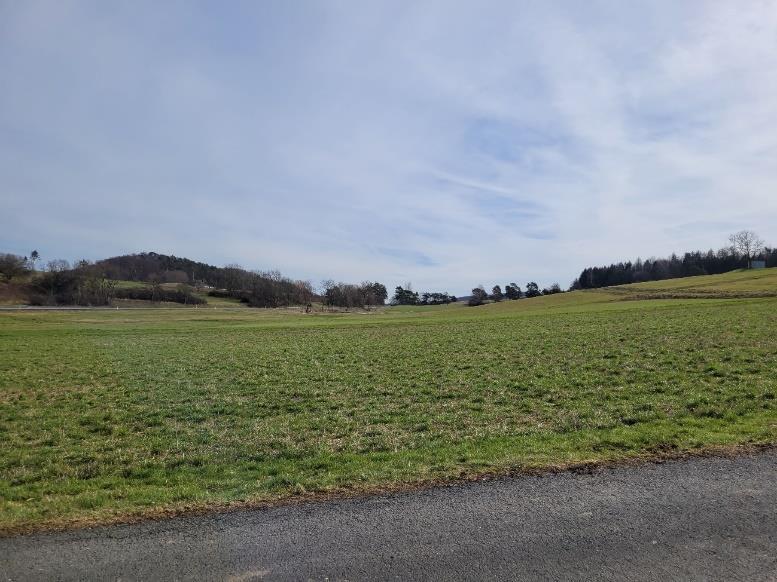 land- und forstwirtschaftlich genutztes Grundstück in Steffenberg - Bild 2