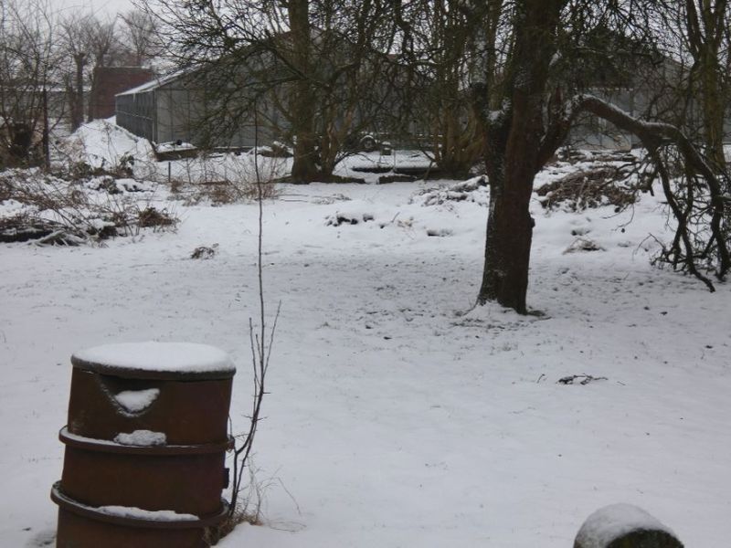 Resthof mit Wohn- und Wirtschaftstrakt in Schülp - Bild 2