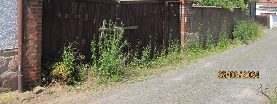 Einfamilienhaus, Sonstiges, Garage in Riethnordhausen - Bild 4