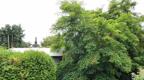 Einfamilienhaus in Wiesbaden - Bild 4