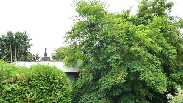 Einfamilienhaus in Wiesbaden - Bild 4