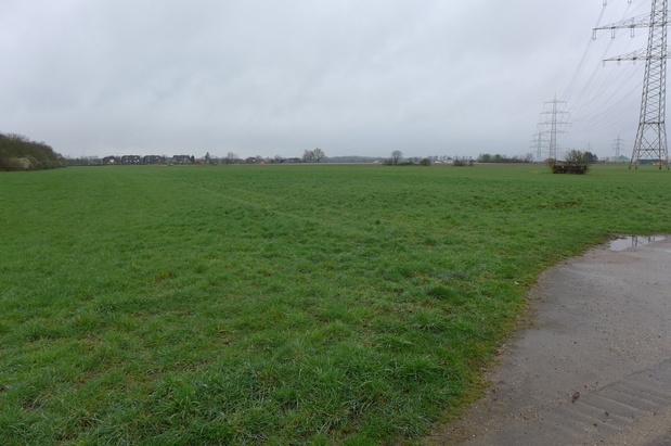 land- und forstwirtschaftlich genutztes Grundstück in Neuss - Bild 1