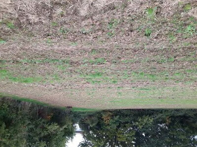 land- und forstwirtschaftlich genutztes Grundstück in Hohe Litt 1 / Auf der Litt 1, 34281 Gudensberg, Obervorschütz - Bild 1