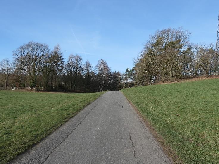 land- und forstwirtschaftlich genutztes Grundstück, Grünland in Wrexen - Bild 2