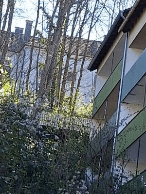 Eigentumswohnung (1 bis 2 Zimmer), mit Garage in Wuppertal - Bild 3