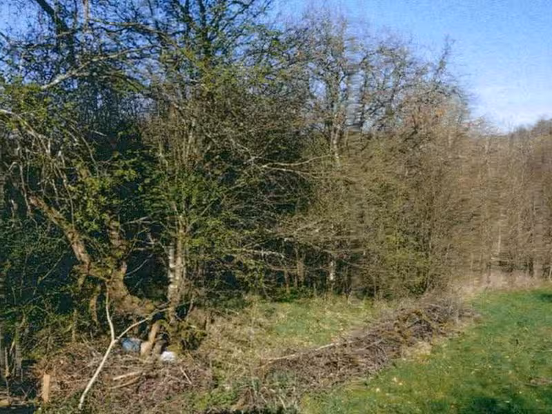 Wohnhaus mit Scheune (Abbruchobjekt) und Grünland in Urbach - Bild 4