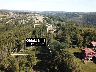 land- und forstwirtschaftlich genutztes Grundstück in an der Schönbergstraße, 96515 Sonneberg, OT Neufang - Bild 1