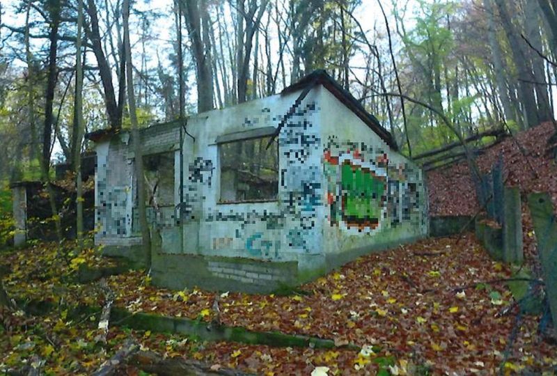 Waldfläche in Börnsen - Bild 2