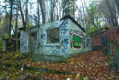 Waldfläche in , 21039 Börnsen - Bild 2