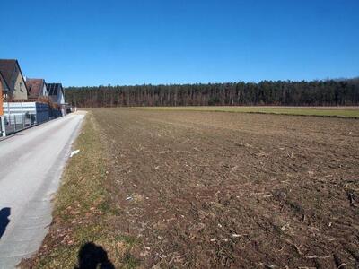 land- und forstwirtschaftlich genutztes Grundstück, unbebautes Grundstück in Stieräcker, 00000 Schwabach - Bild 1