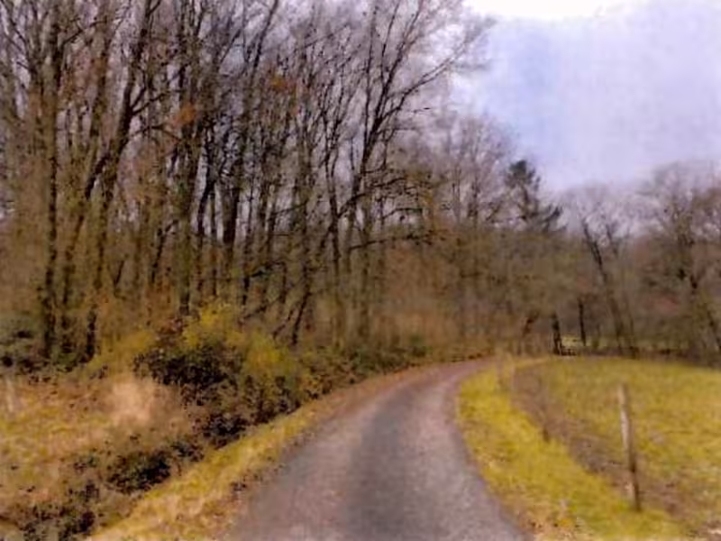 Landwirtschaftsflächen in Neuenstein - Bild 4