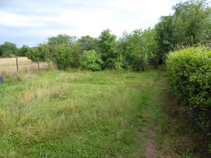 Landwirtschaftsflächen in Sandhausen - Bild 2
