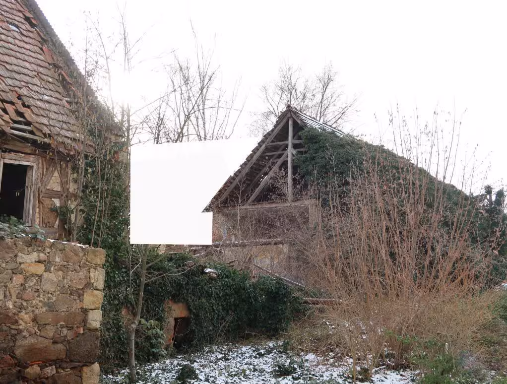 Einfamilienhaus in Riesa - Bild 6