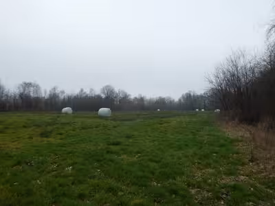 Sonstiges in Röbkenberg, 26169 Friesoythe, Altenoythe - Bild 2