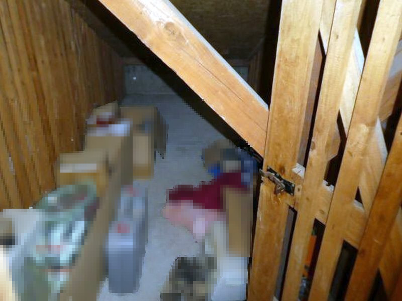 2-Zimmer-Wohnung in Schönau - Bild 4