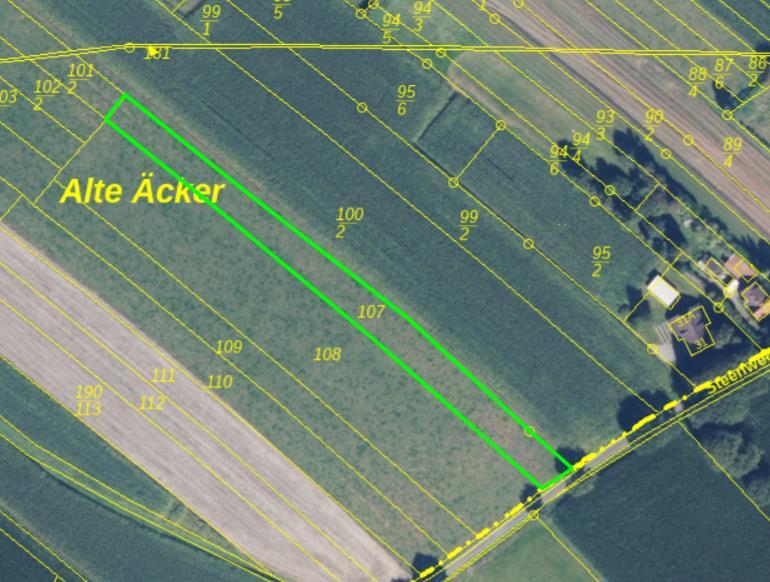 Einfamilienhaus, land- und forstwirtschaftlich genutztes Grundstück in Reepsholt - Bild 2