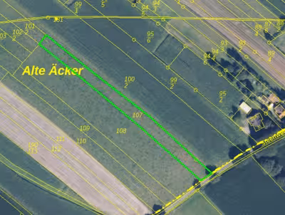 Einfamilienhaus, land- und forstwirtschaftlich genutztes Grundstück in Steenweg 8 + Steenweg/Alte Äcker 3, 26446 Reepsholt, Moorweg - Bild 2