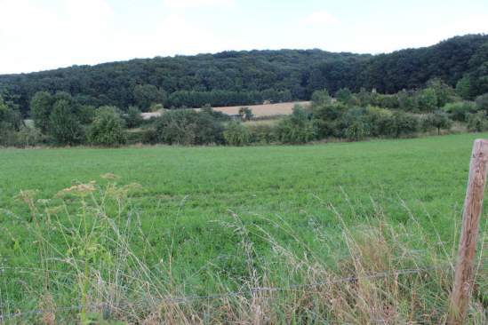 land- und forstwirtschaftlich genutztes Grundstück in Wachtberg - Bild 2