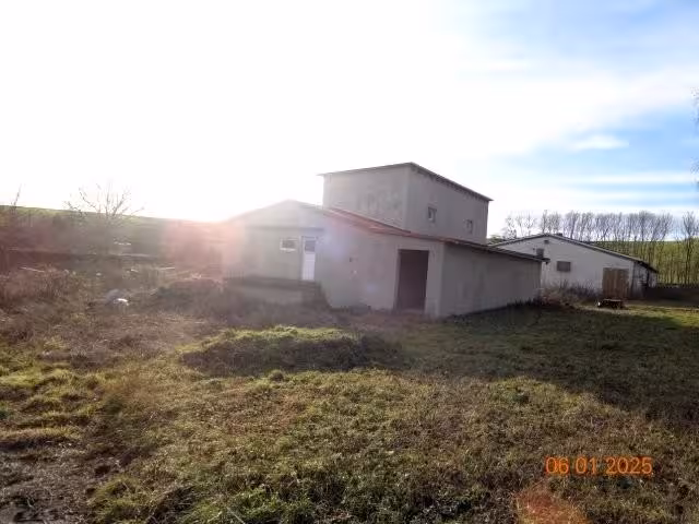 land- und forstwirtschaftlich genutztes Grundstück in Niederroßla - Bild 1