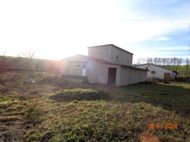 land- und forstwirtschaftlich genutztes Grundstück in Niederroßla - Bild 1