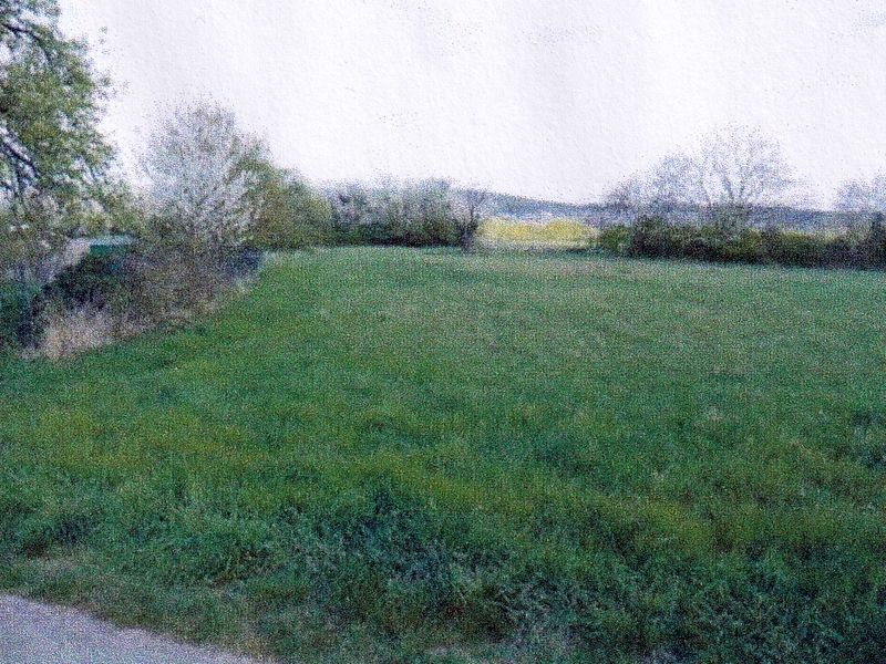 Landwirtschaftsfläche in Leimen - Bild 1