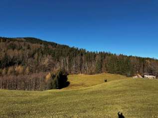 Waldfläche, Landwirtschaftsfläche in Anger - Bild 3