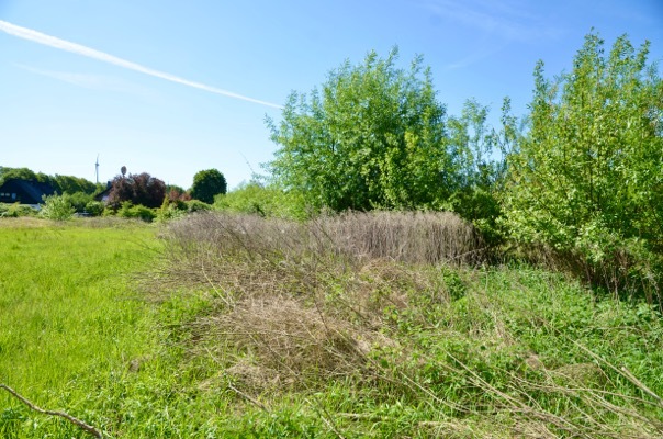 land- und forstwirtschaftlich genutztes Grundstück in Oyten - Bild 4