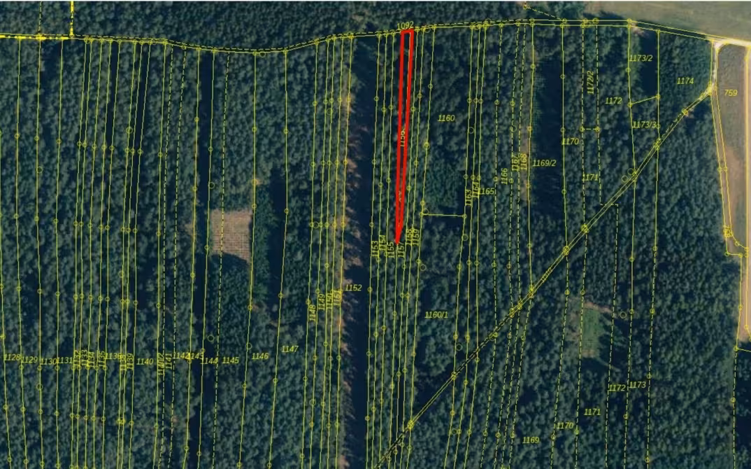 Waldfläche in Hausen - Bild 1