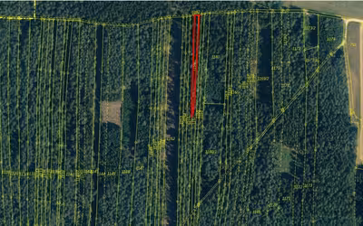 Waldfläche in Gemarkung Oberschambach FlSt. 1156, 93345 Hausen - Bild 1