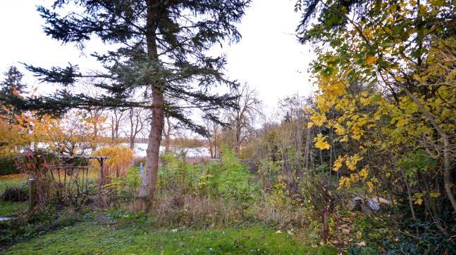 Zweifamilienhaus in Fürsterwerder - Bild 3