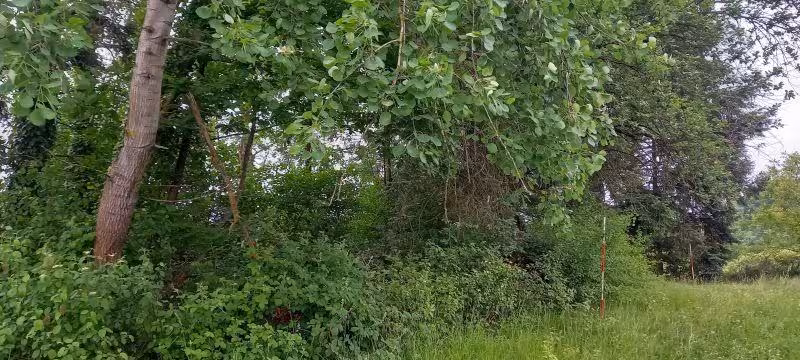 land- und forstwirtschaftlich genutztes Grundstück, Steingasser Bahn in Alfter - Bild 1