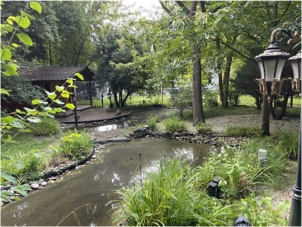 Garage, Einfamilienhaus in Köln - Bild 3