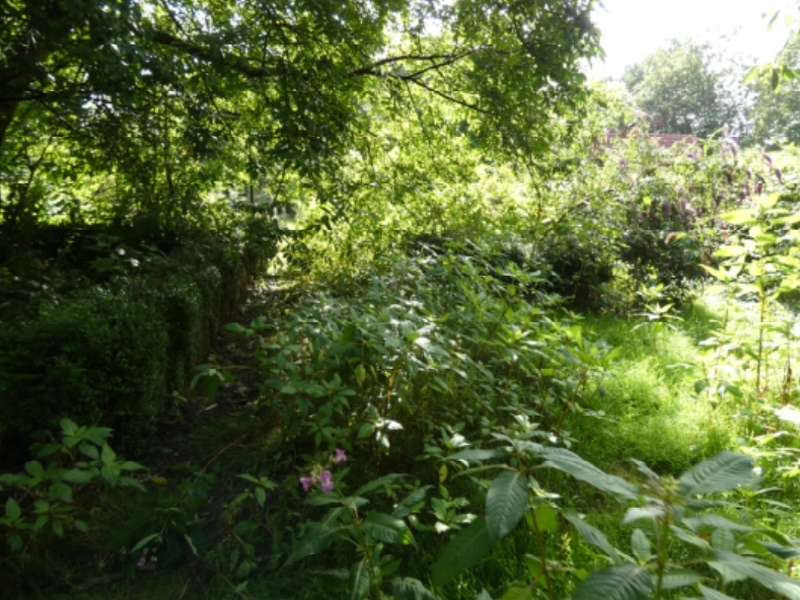 Grundstück mit Pferdestall in Sankt Michaelisdonn - Bild 2