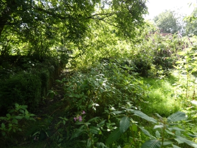 Grundstück mit Pferdestall in An der L 138, 25693 Sankt Michaelisdonn - Bild 2