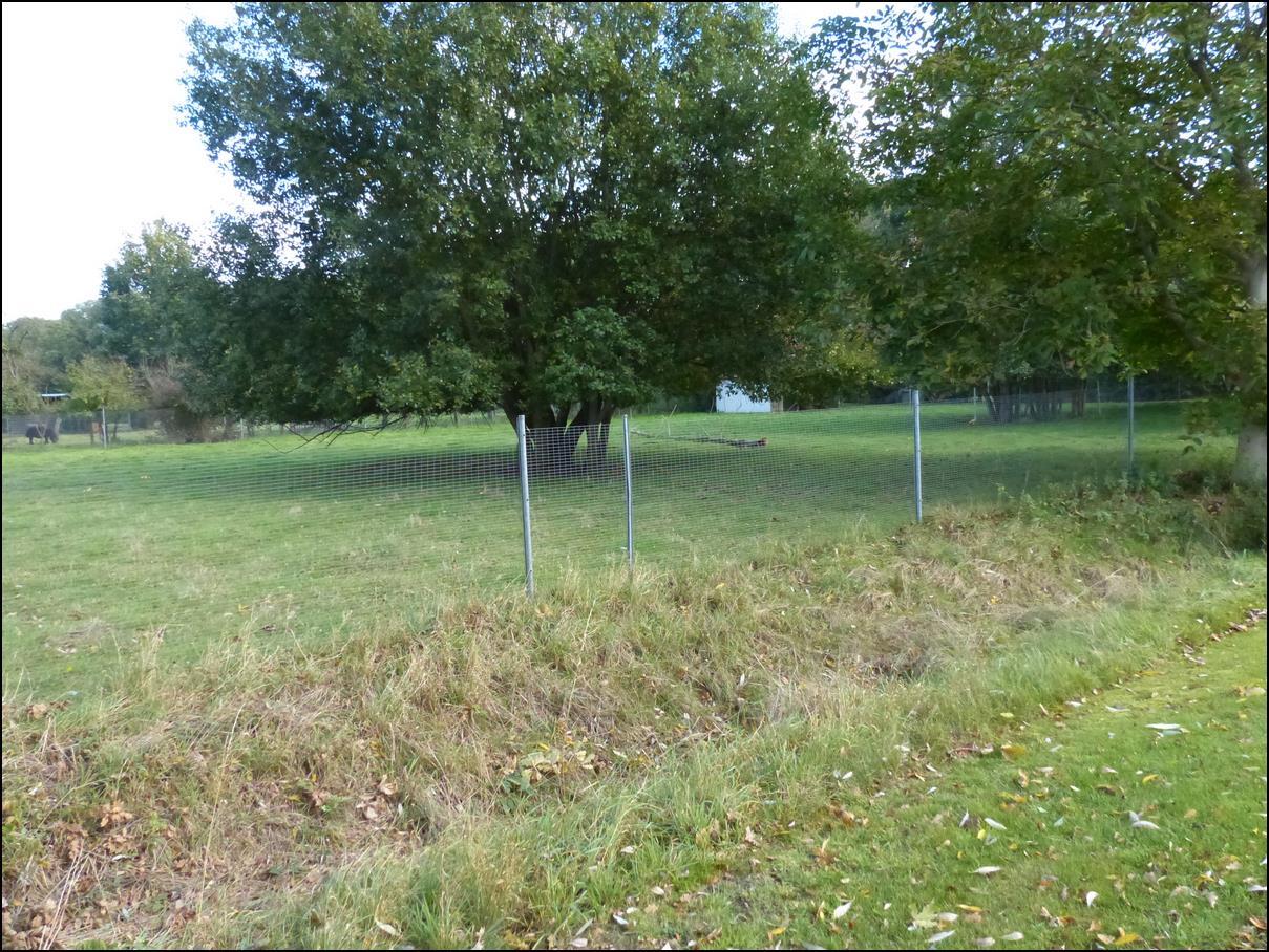 Zweifamilienhaus in Bohmte - Bild 1