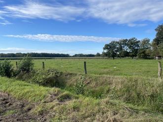 land- und forstwirtschaftlich genutztes Grundstück in Badbergen - Bild 3