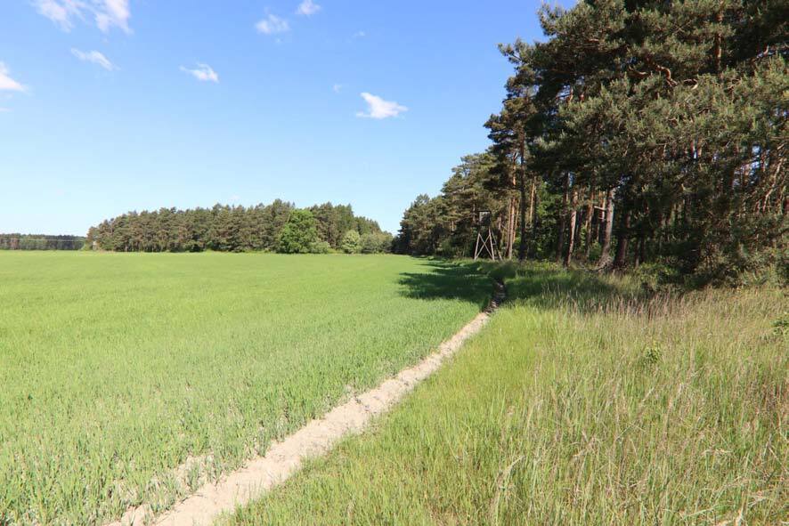 unbebautes Grundstück, land- und forstwirtschaftlich genutztes Grundstück in Boxberg/O.L. - Bild 2
