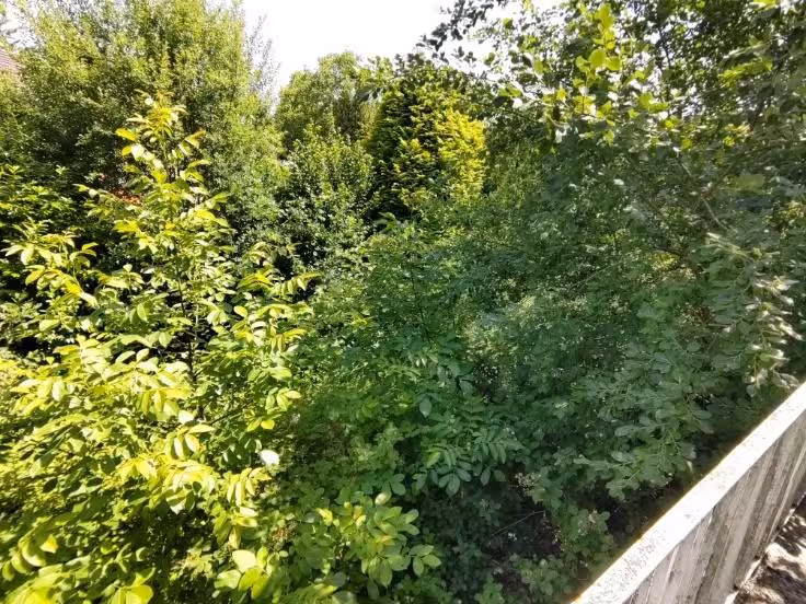 Einfamilienhaus in Krefeld - Bild 2