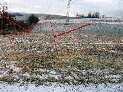 Landwirtschaftsfläche in , 69256 Mauer - Bild 1