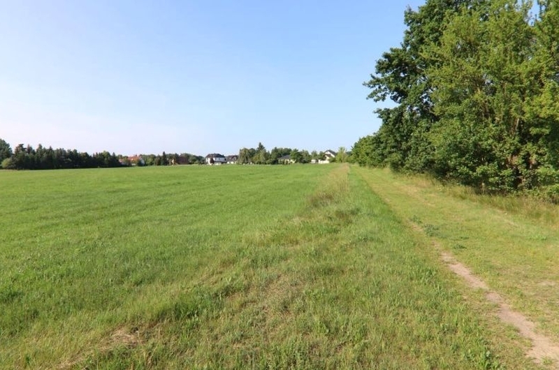 Landwirtschaftlich genutztes Grundstück (Grünland) in Wiesengrund - Bild 1