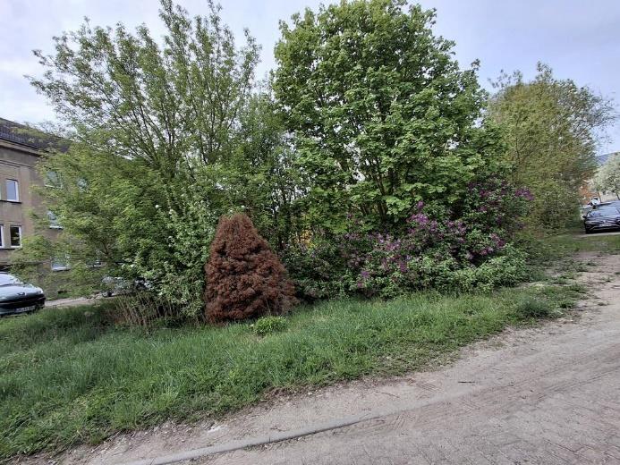 unbebautes Grundstück in Angermünde - Bild 3
