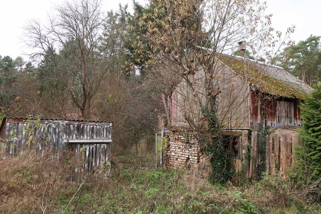 Einfamilienhaus in Weiden in der Oberpfalz - Bild 4