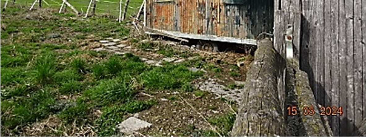 land- und forstwirtschaftlich genutztes Grundstück in Lingen (Ems) - Bild 3