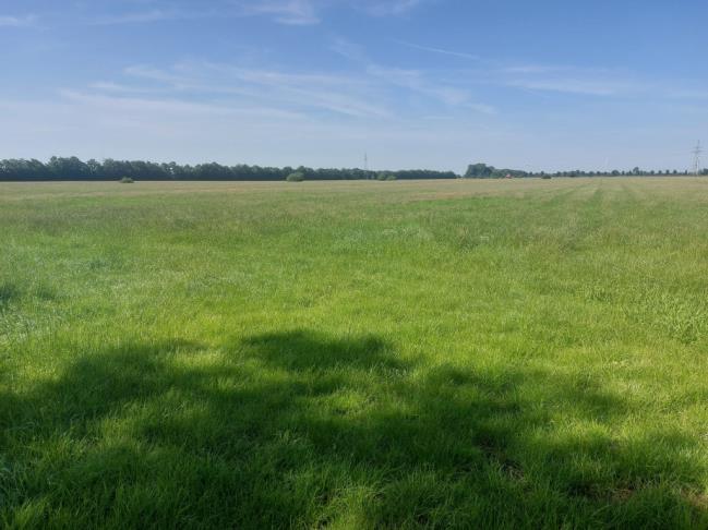 land- und forstwirtschaftlich genutztes Grundstück, Grünland in Neermoor - Bild 4