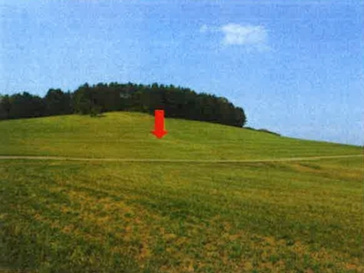 Land-/Forstwirtschaftsflächen in , 73529 Schwäbisch Gmünd, Weiler i.d. Bergen - Bild 1