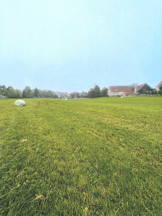 Wiesenfläche in Althütte - Bild 1
