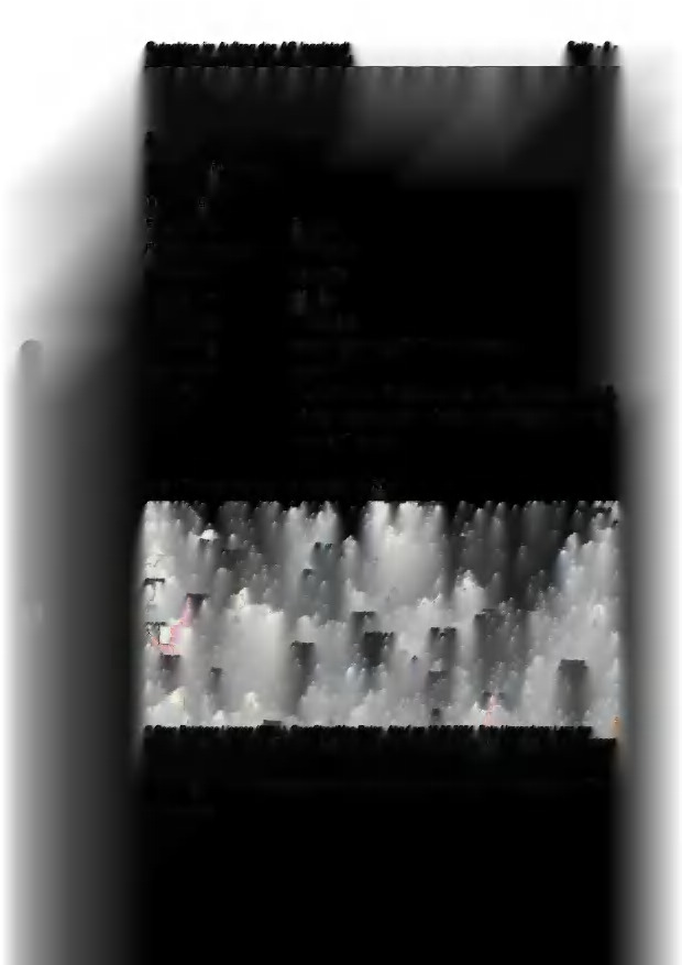 land- und forstwirtschaftlich genutztes Grundstück in Pfalzpaint - Bild 1