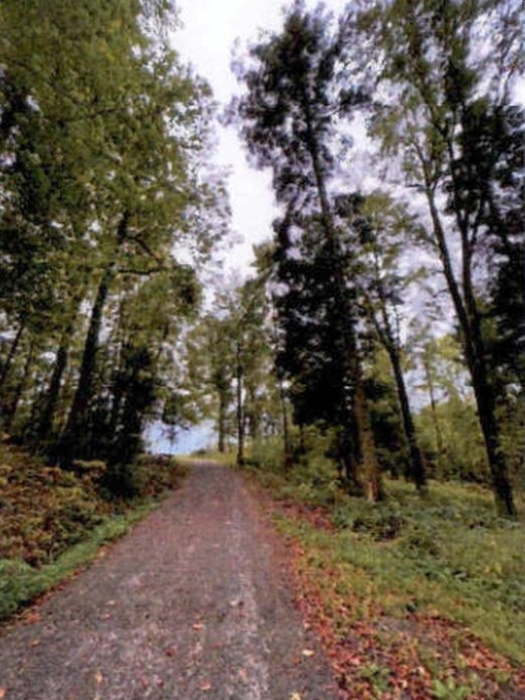 Waldflächen in Althütte - Bild 1